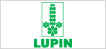 Lupin